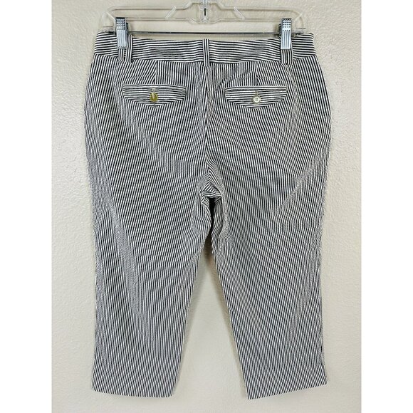 Ann Taylor Loft Seersucker Marisa Capri Pants Blue Stripes Size Petite 4 4P  EUC - Picture 2 of 12